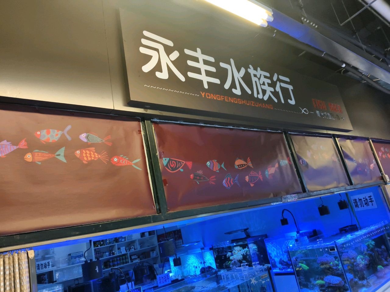永丰水族行