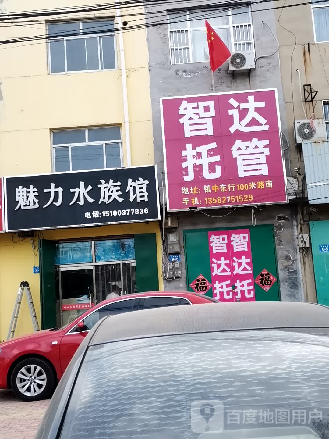 魅力水族馆