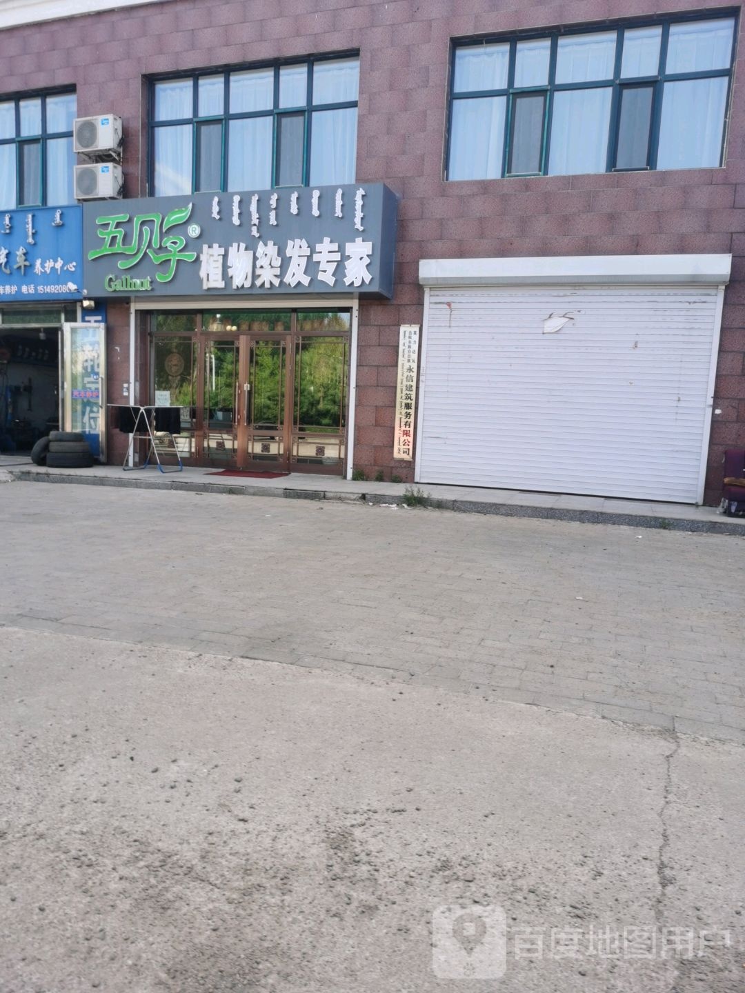 五贝子植物染发专家