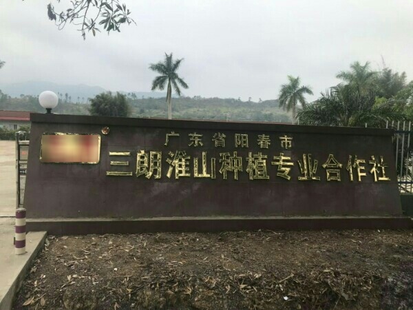 广东省阳江市阳春市陂面镇X600县道原中铁十四局罗阳高速项目部