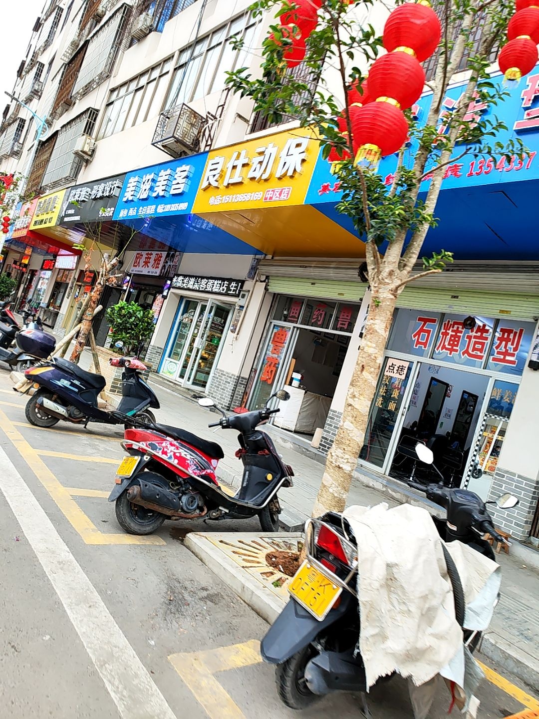良仕动保(中区店)