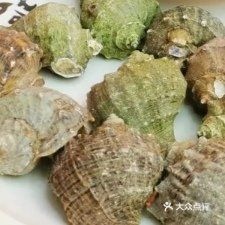 金海湾海鲜城