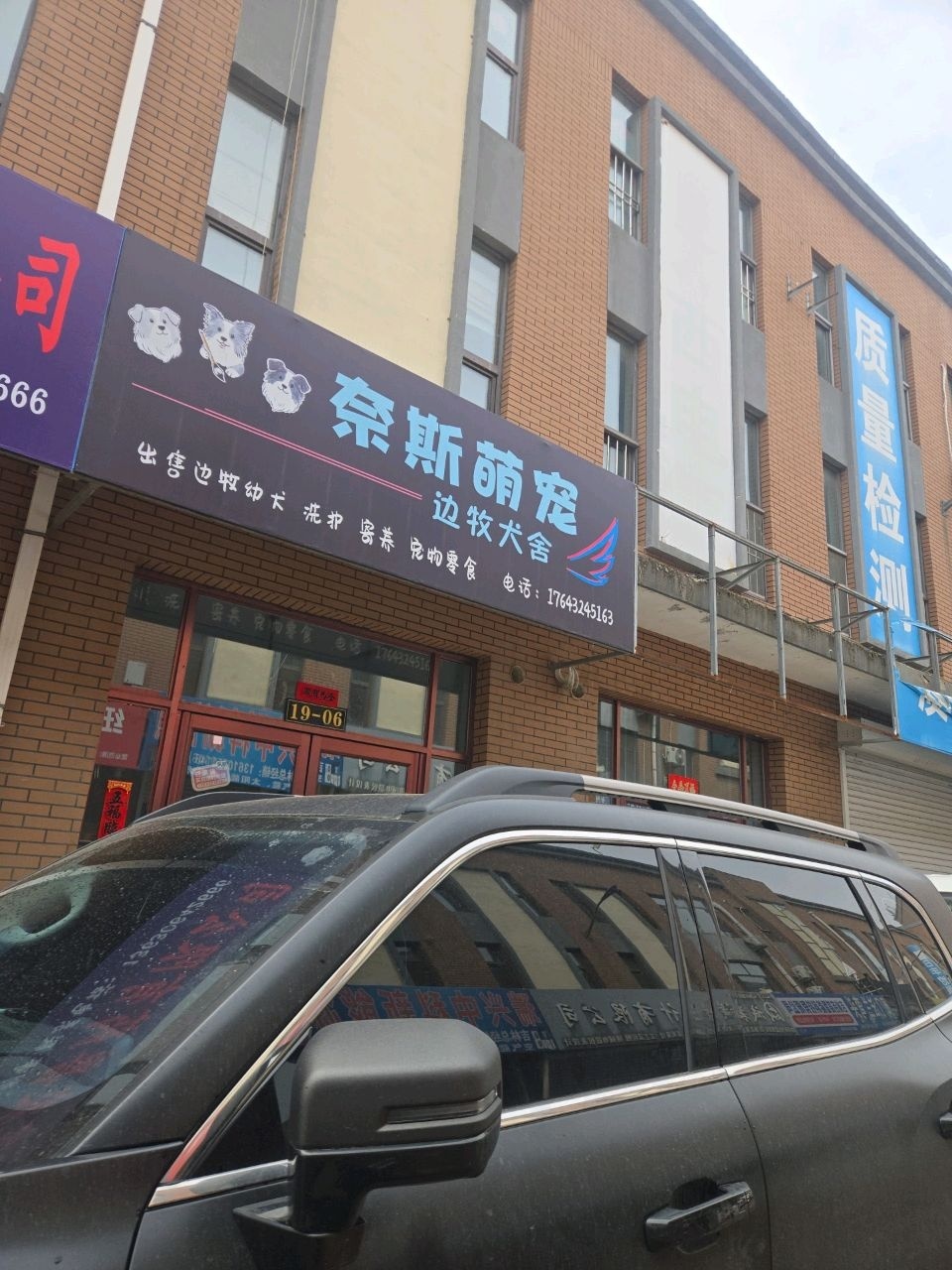 奈斯萌宠边牧犬舍