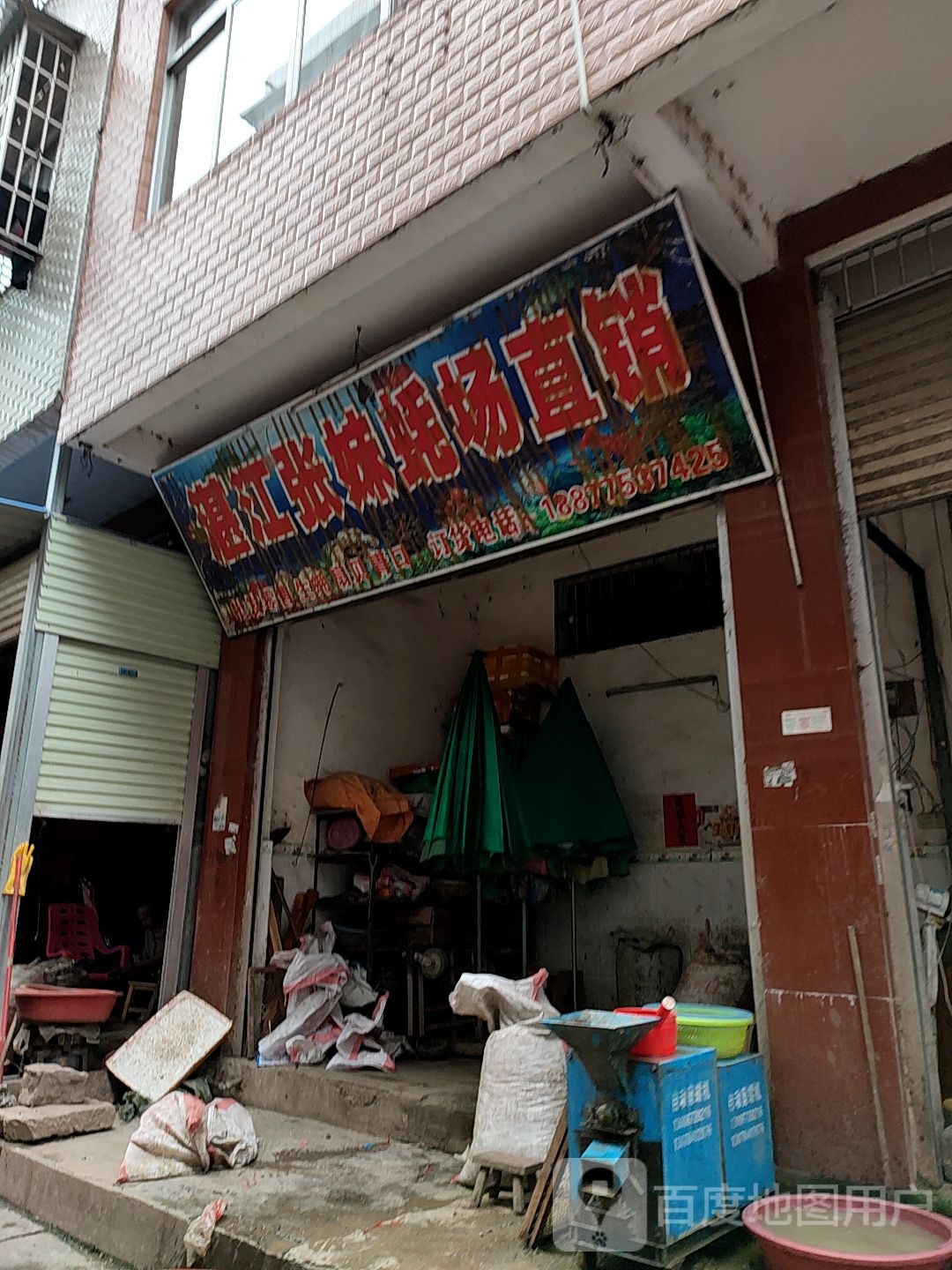 湛江张妹蚝场直销