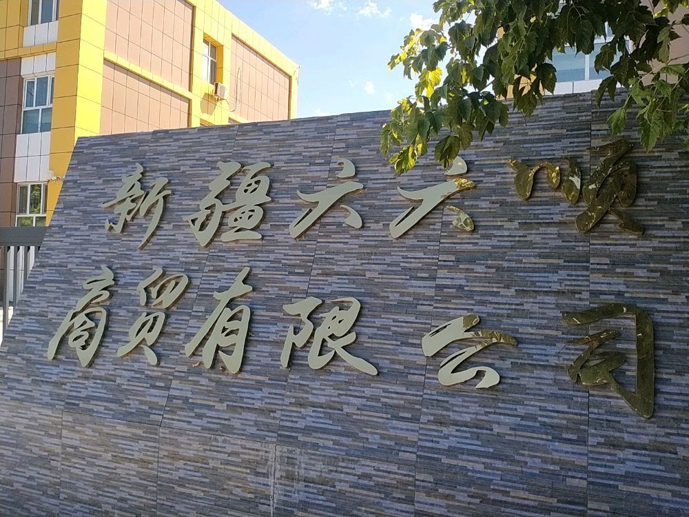 新疆六六顺商贸有限公司