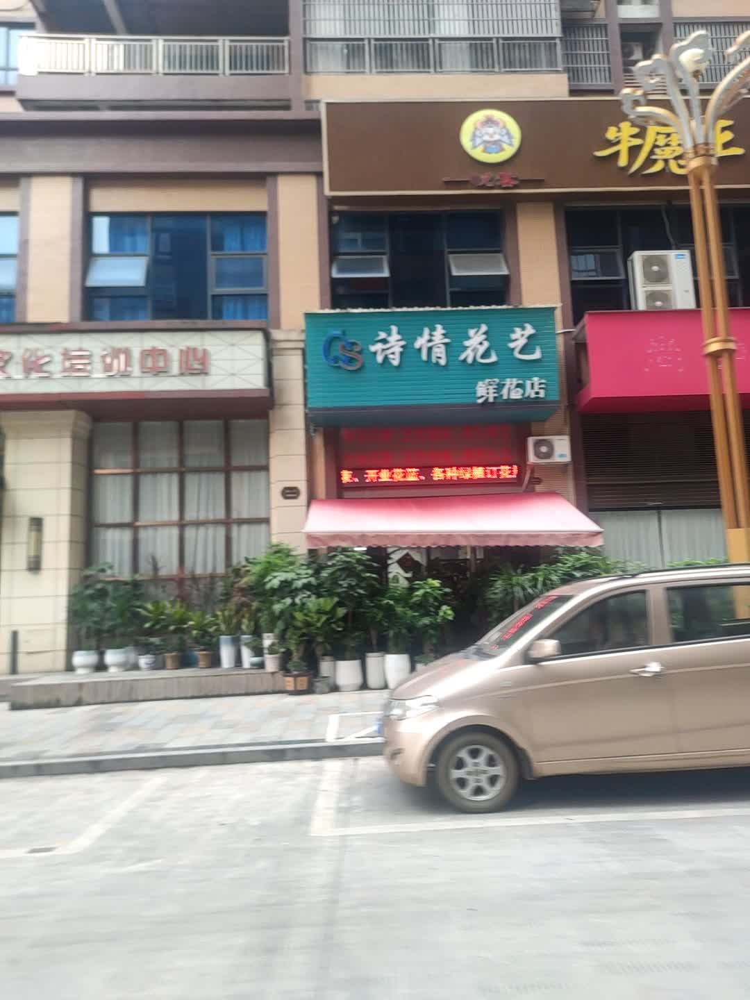 诗情花艺鲜花店(教育路店)