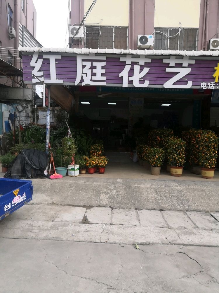 红庭花店