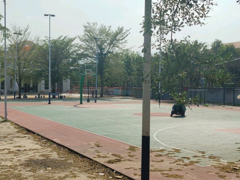 田头村篮球场