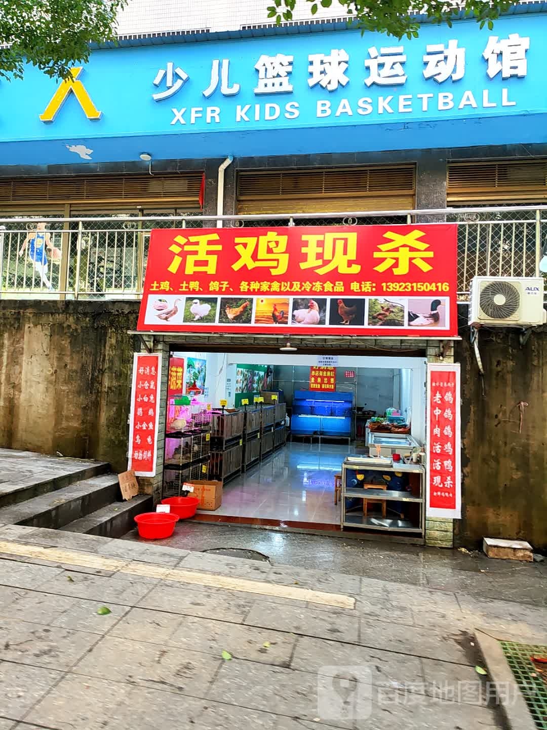 少儿篮球运动馆