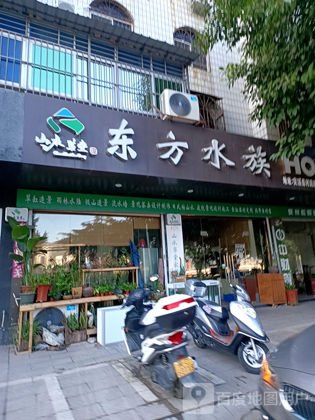东风水族