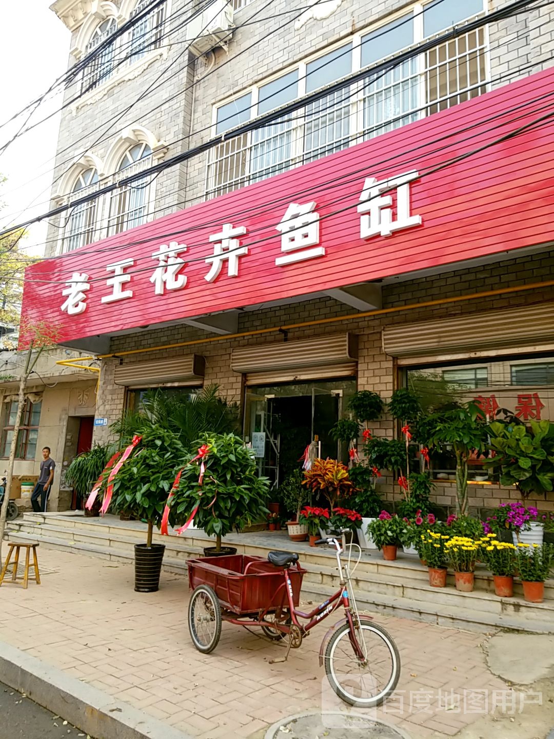 老王花卉鱼缸