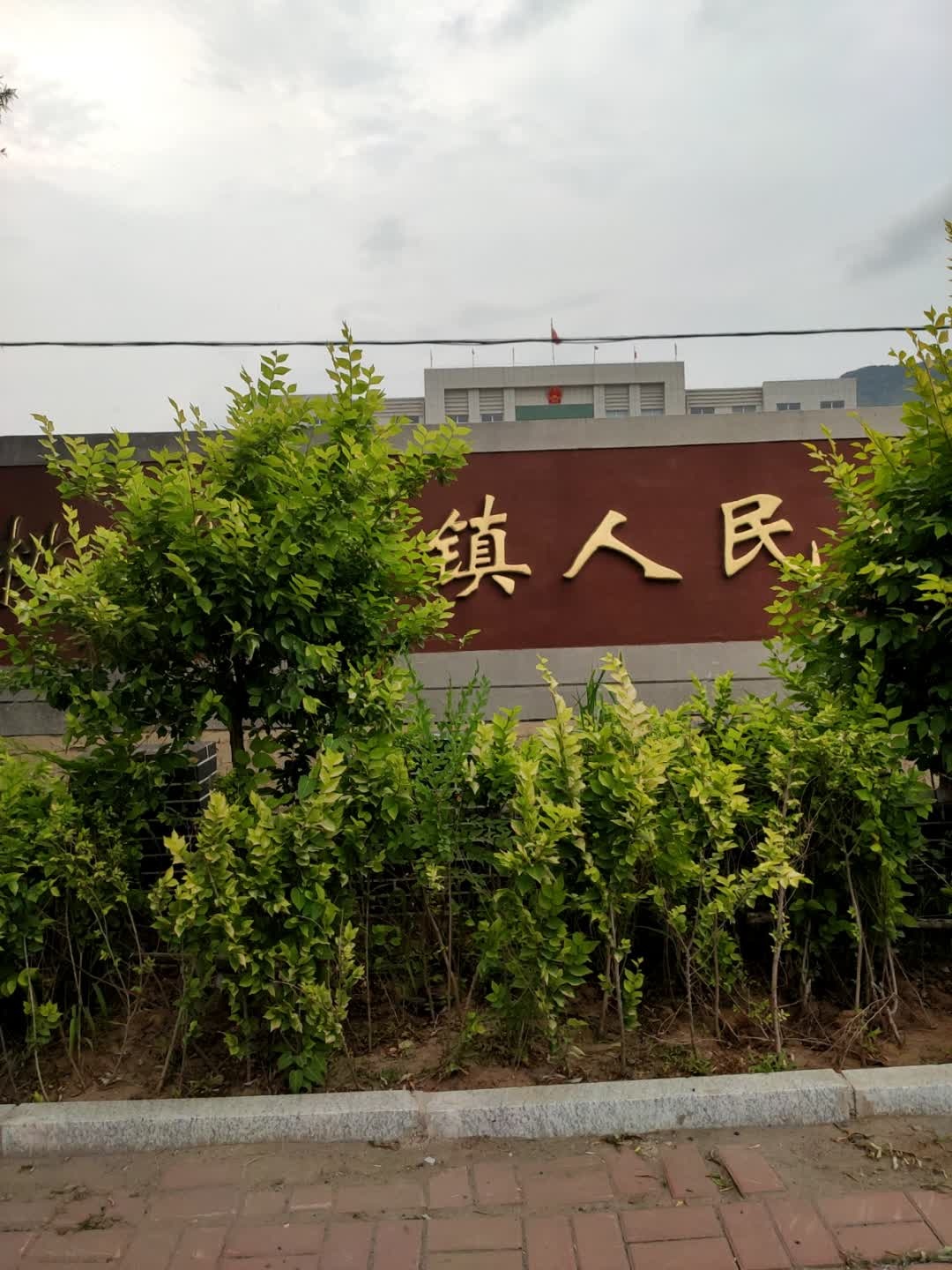 桃花吐镇人民政府