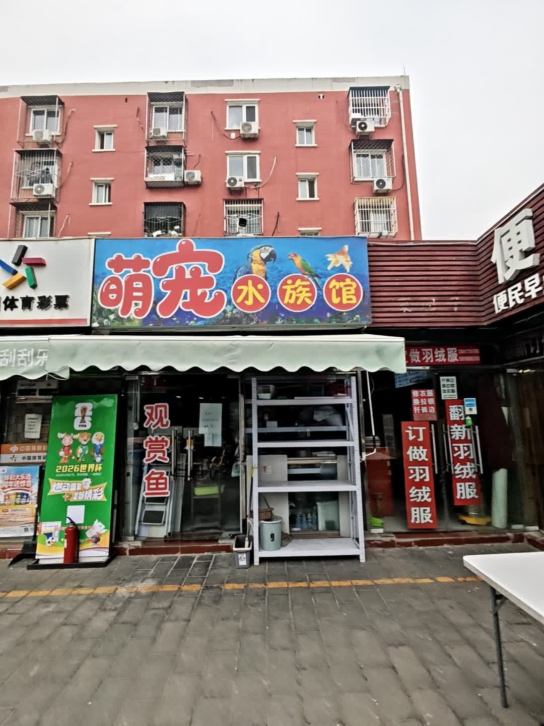 萌宠水族馆