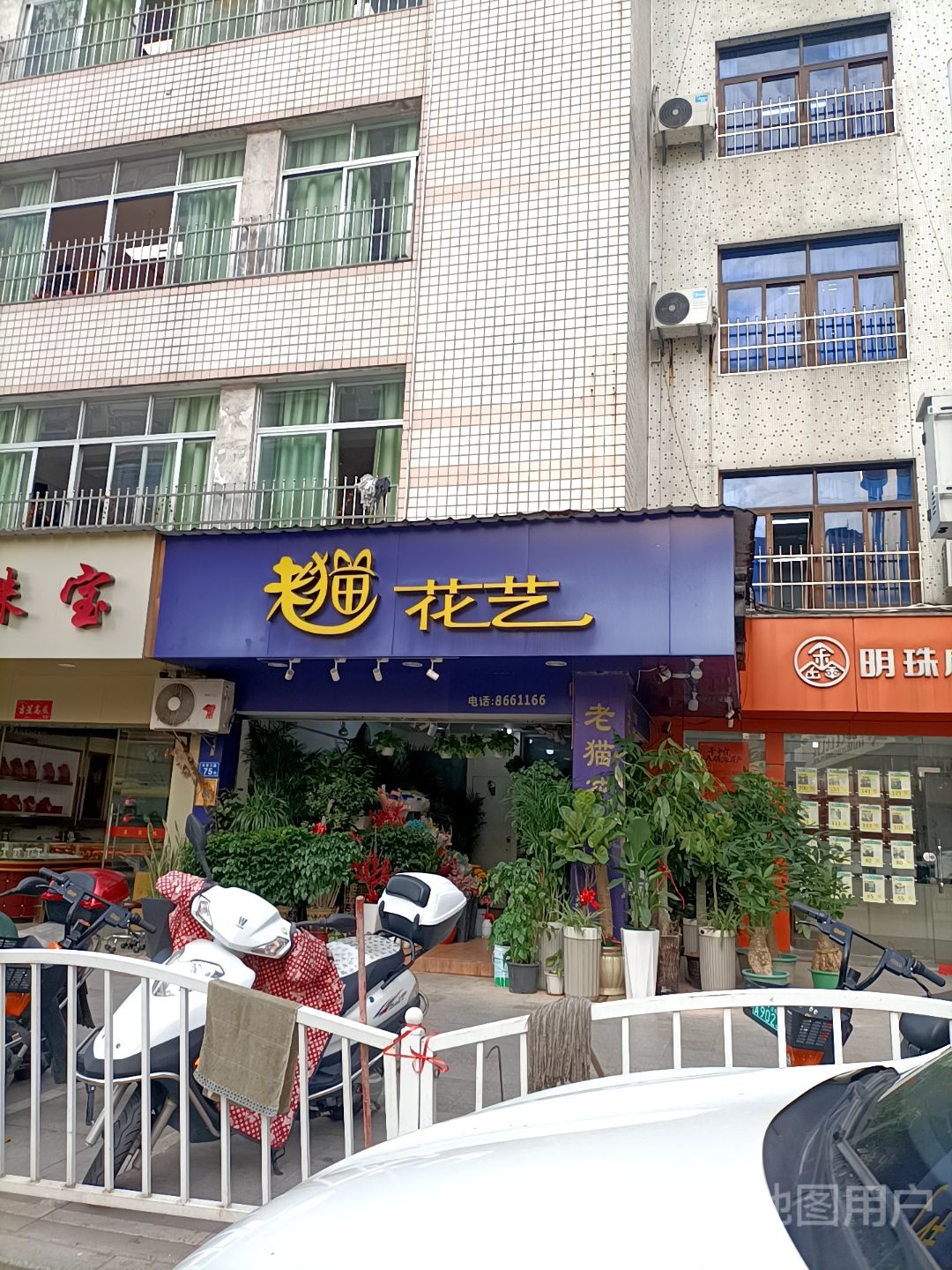 老猫花艺(东新三路店)