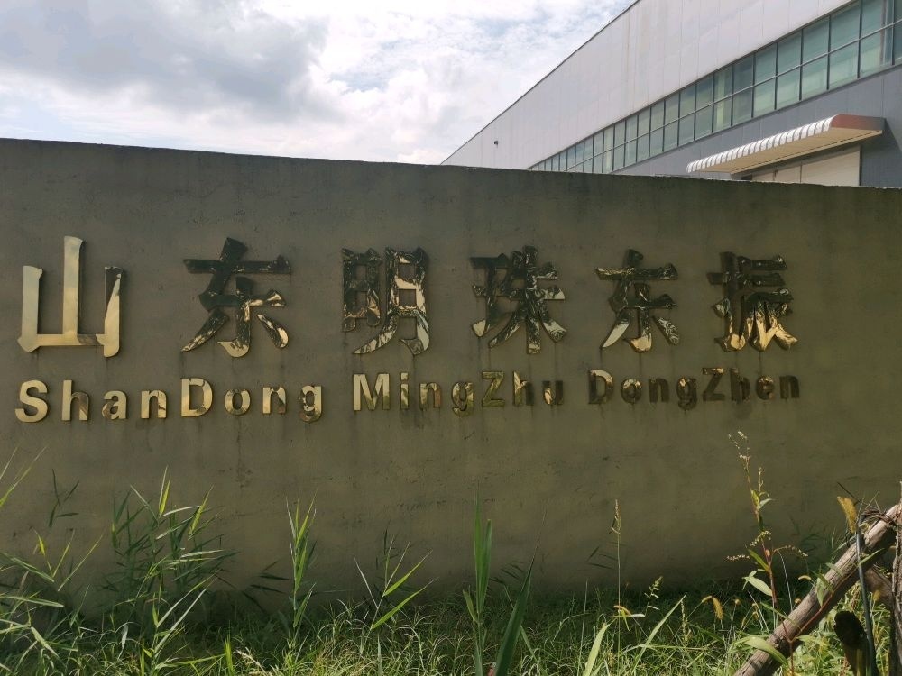 山东明珠东振报废机动车回收拆解有限公司