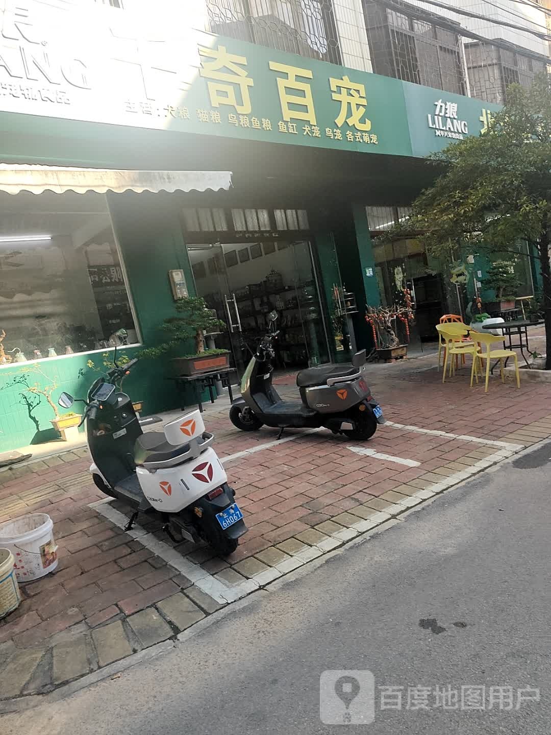 千奇百宠