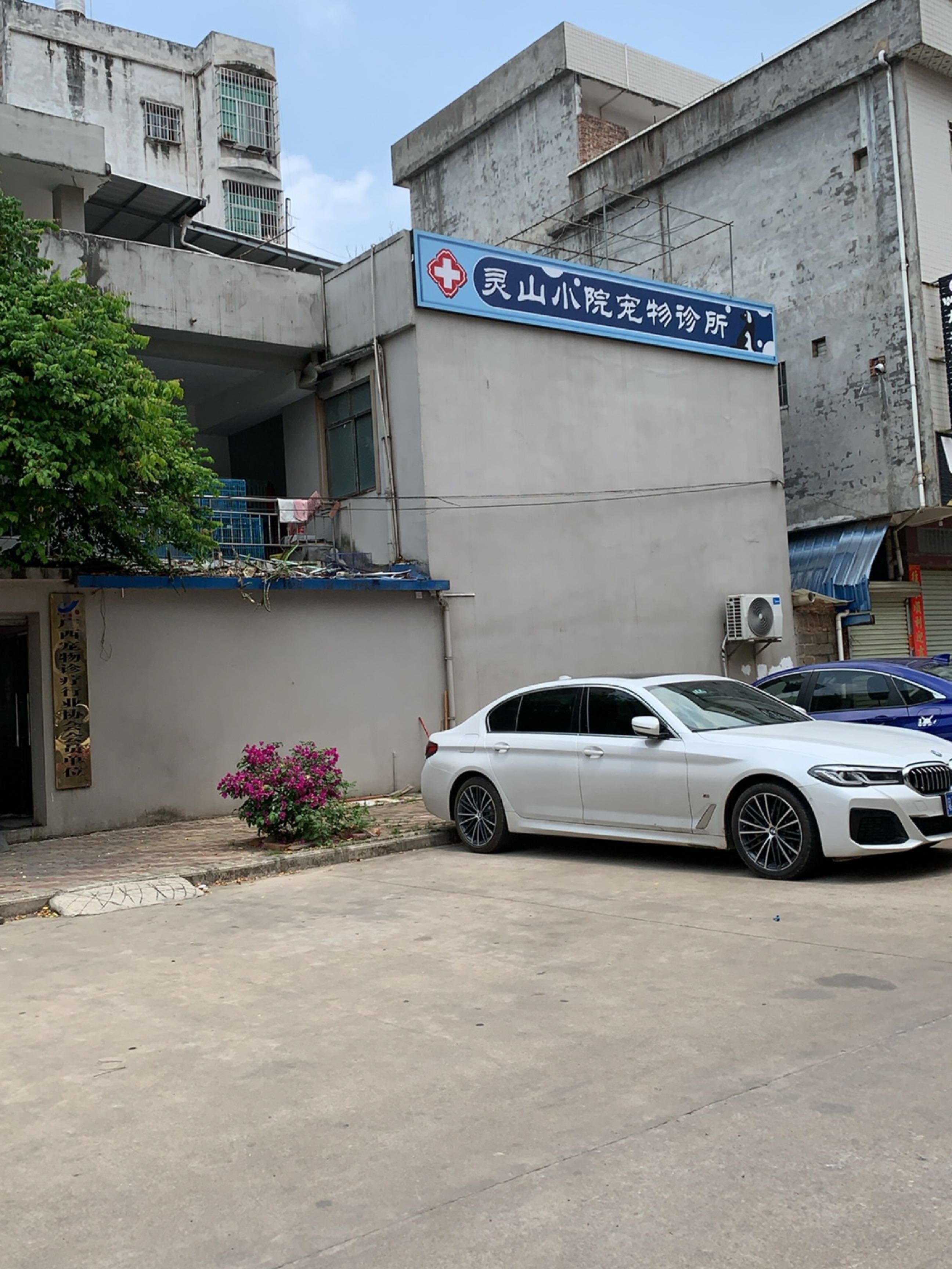 灵山小院宠物诊所