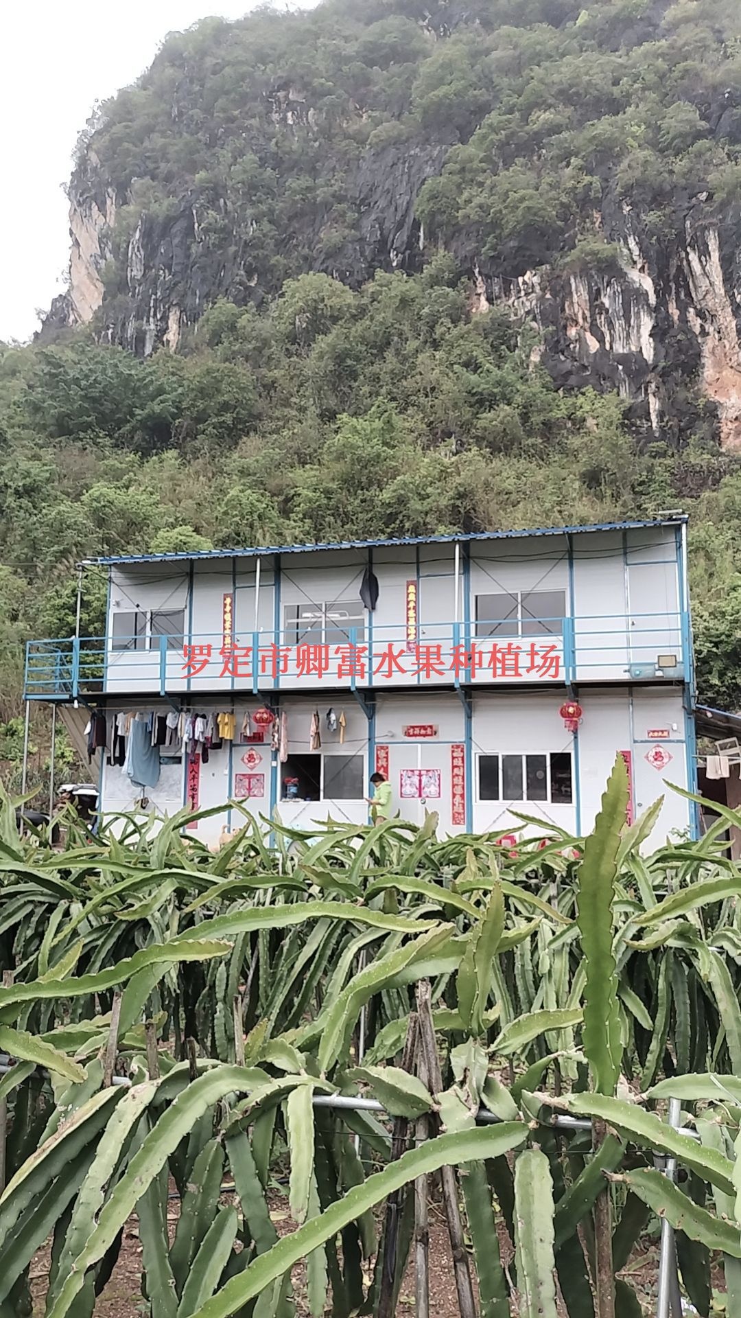 罗定市卿富水果种植场