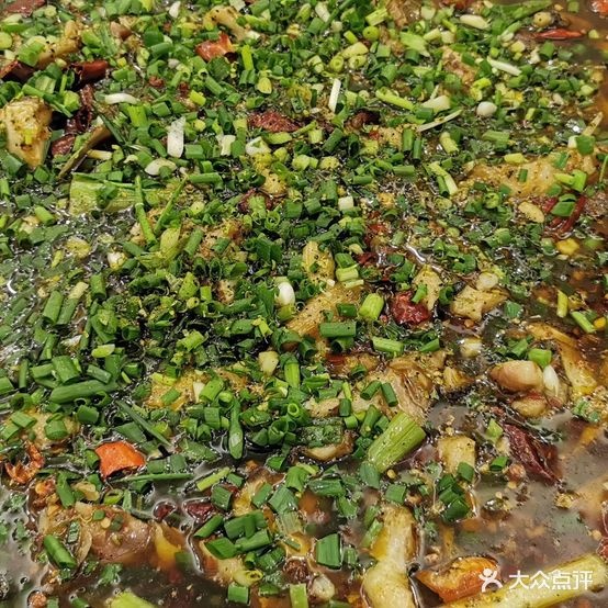 宽诚来风鱼