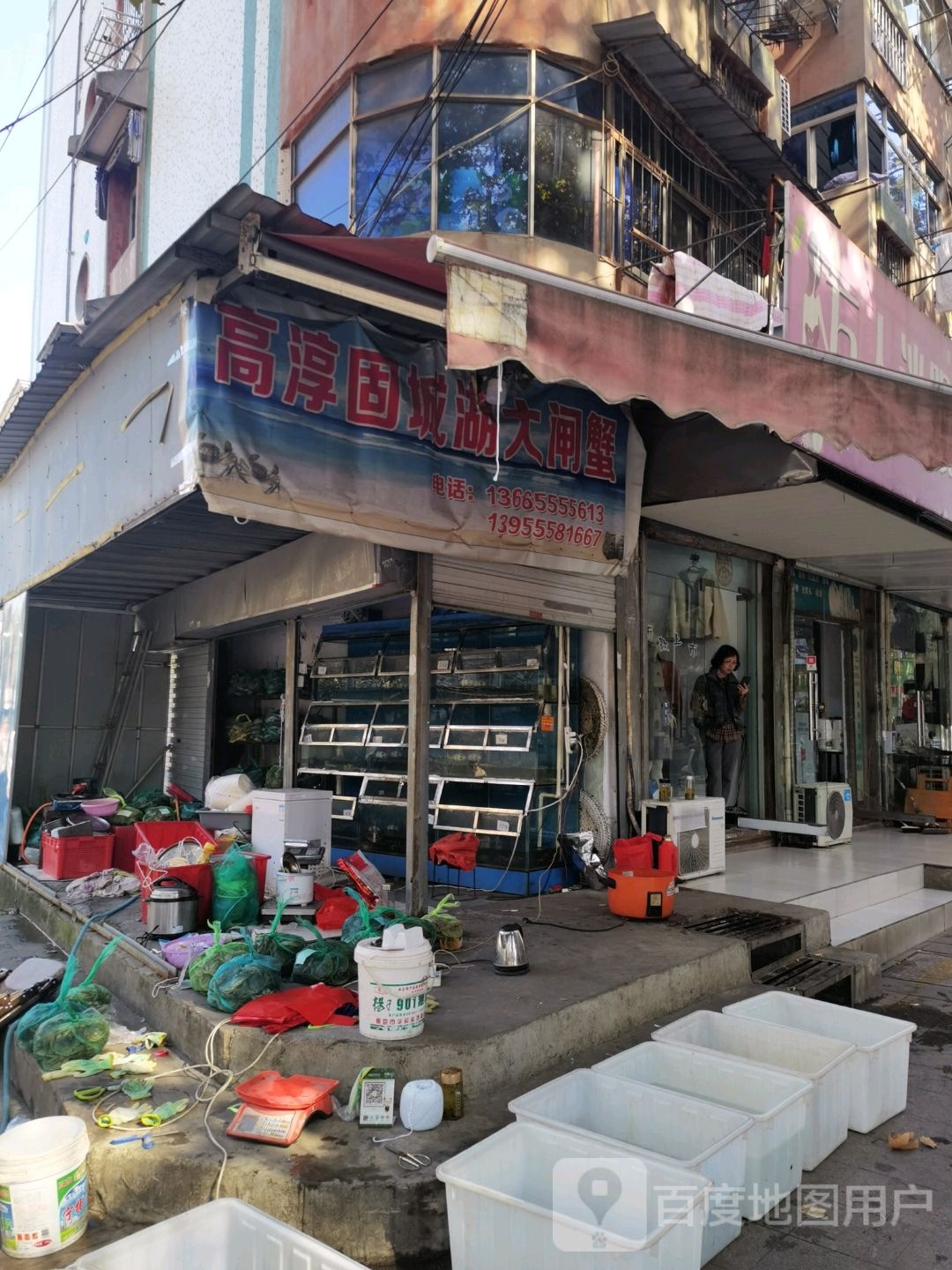 高淳固城湖大闸蟹