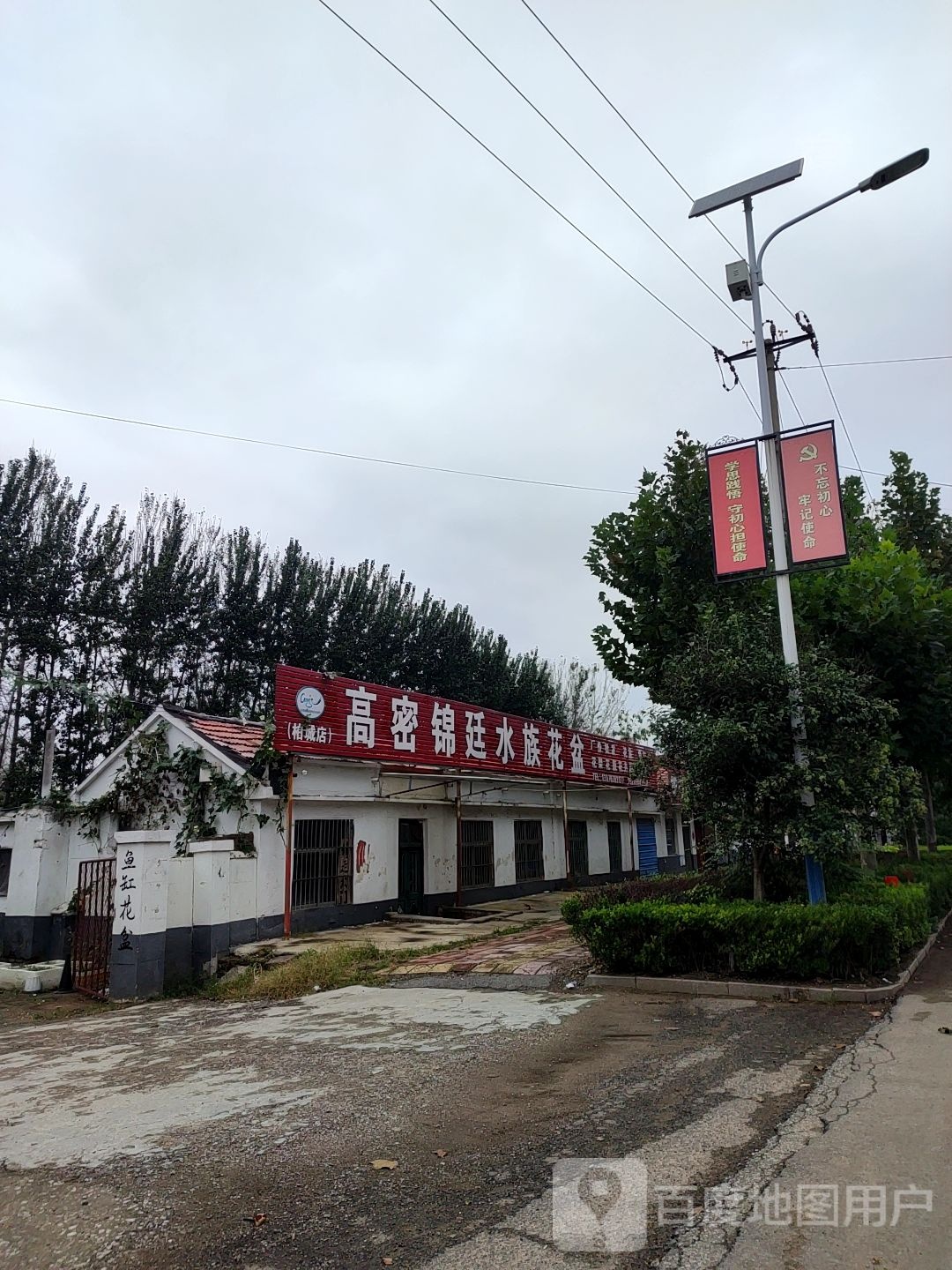 高密锦廷水族花盆(柏城店)