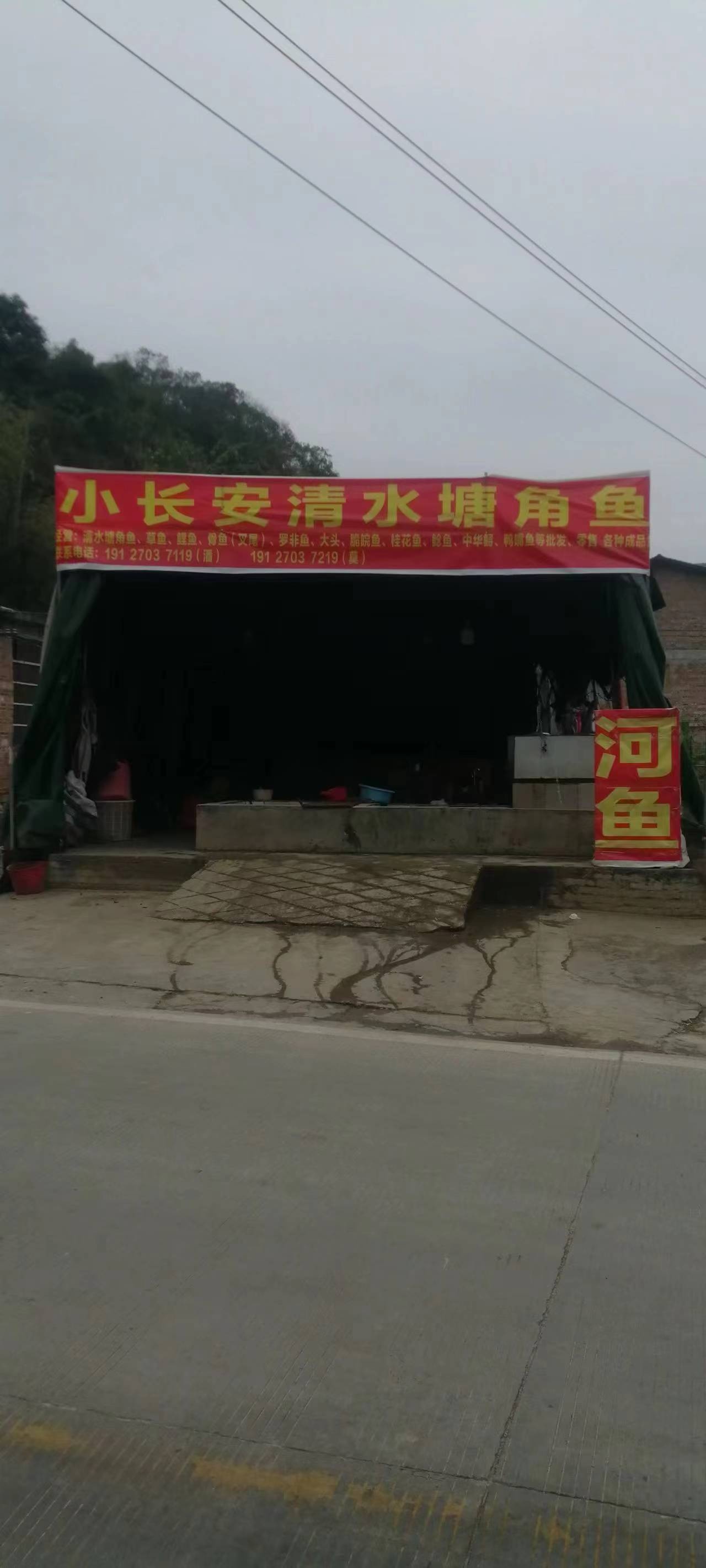 小长安清水塘角鱼