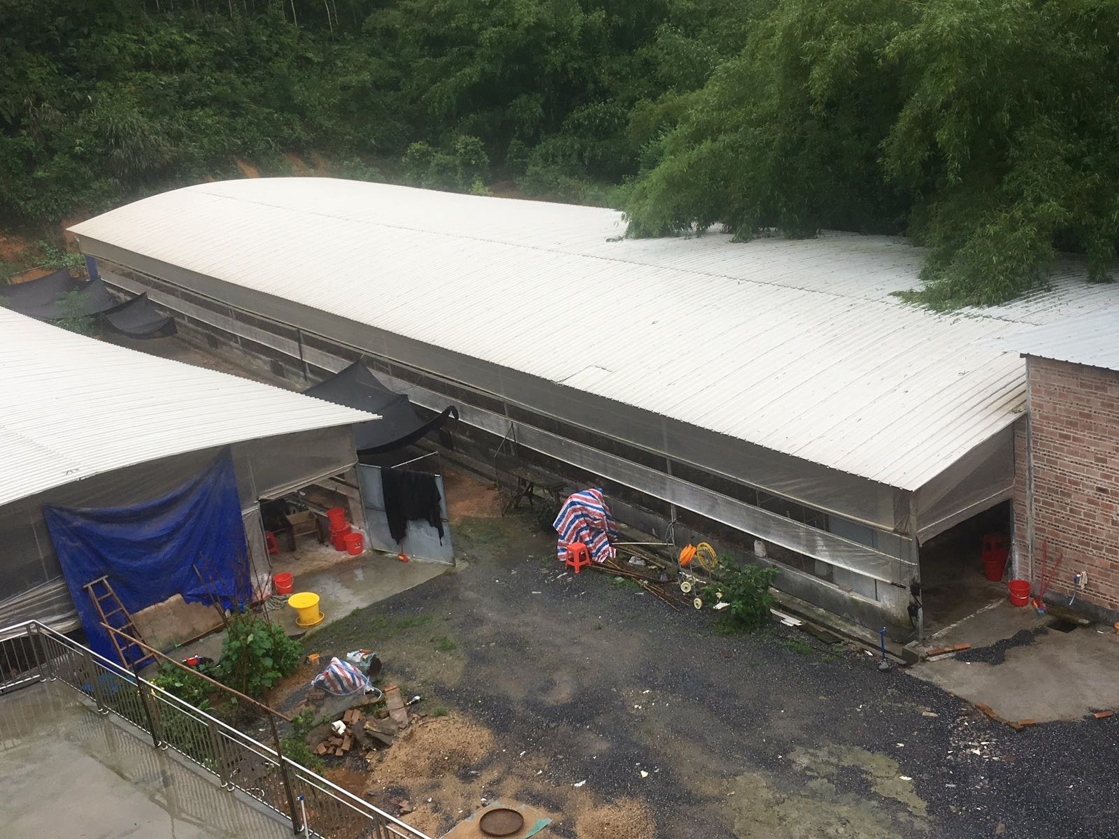 广东省清远市英德市东华镇英德市东华镇鱼湾刘贤通养殖场