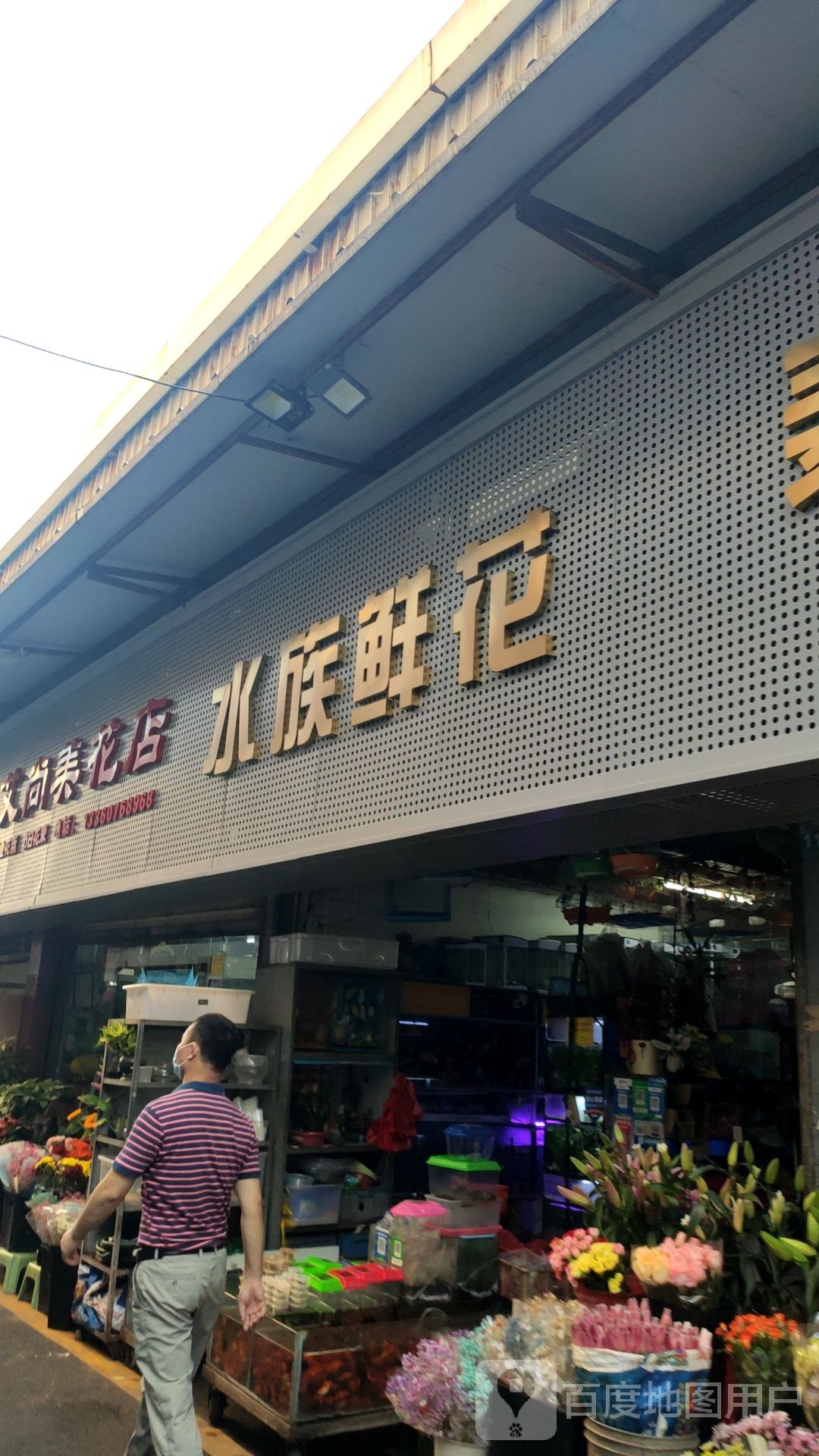 水族鲜花