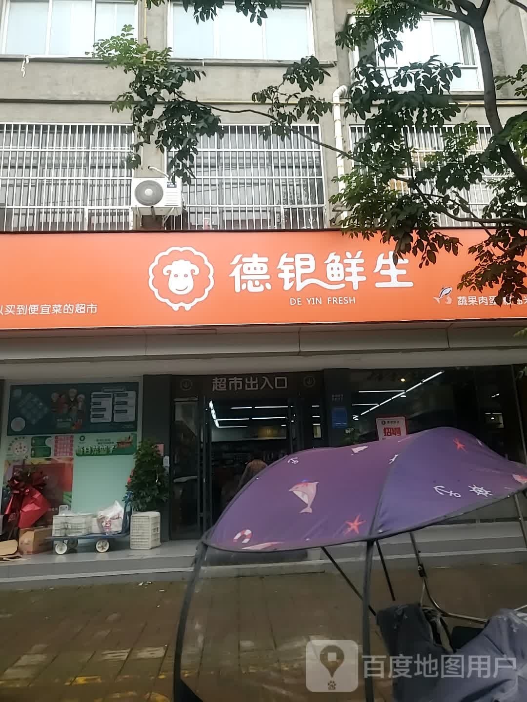 项城市德银鲜生超市(正泰路店)