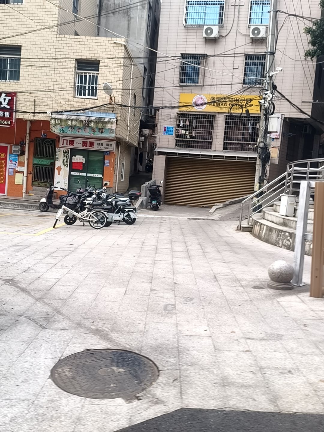 佩宝宠物用品店