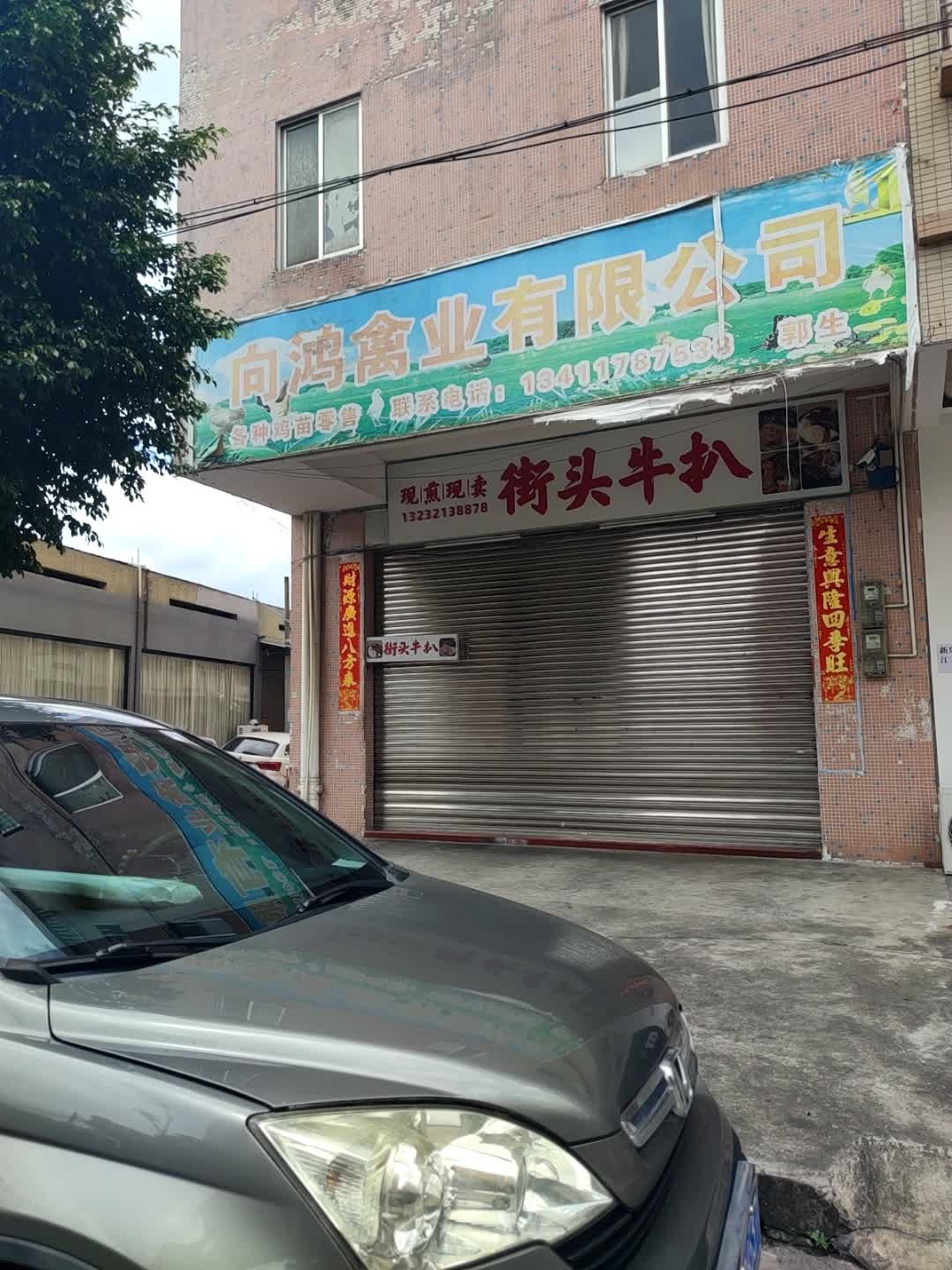 街头牛扒