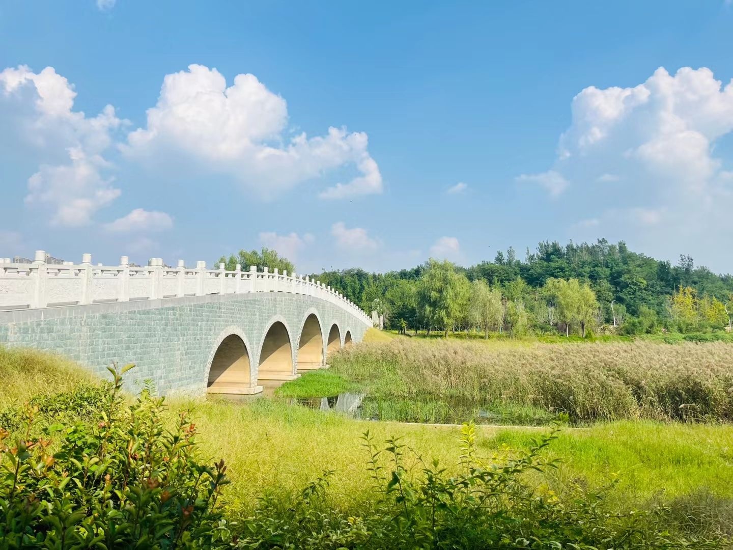 贾鲁河公园