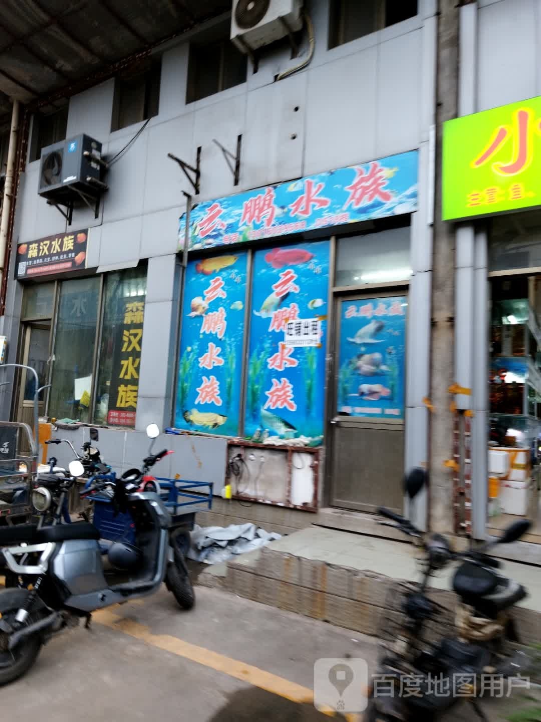 森林水族