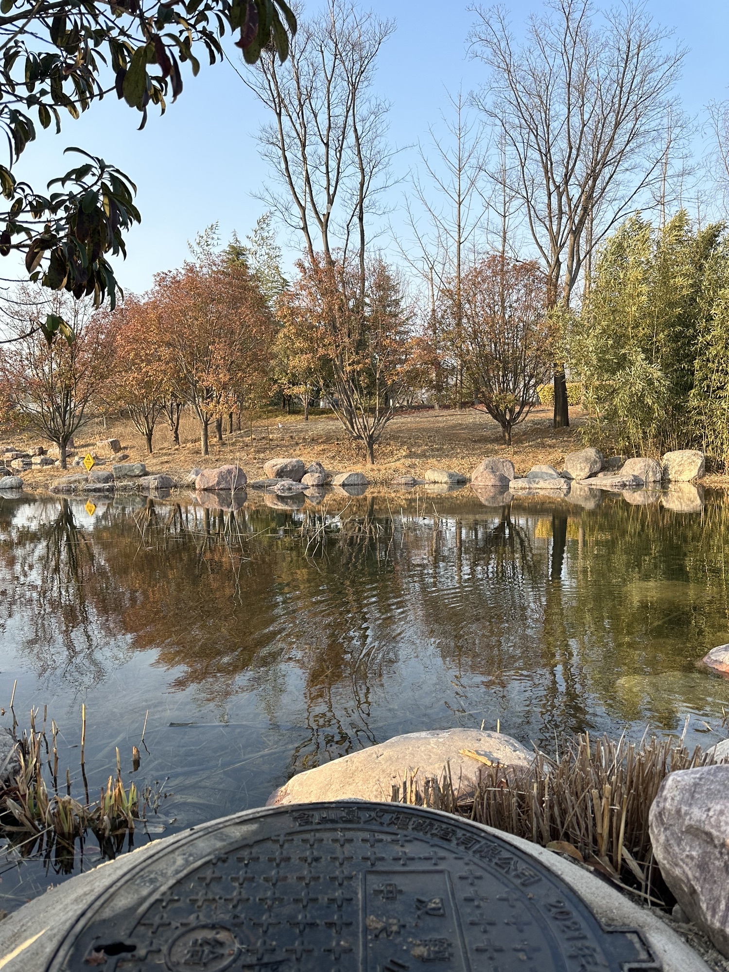 双鹤湖中央公园