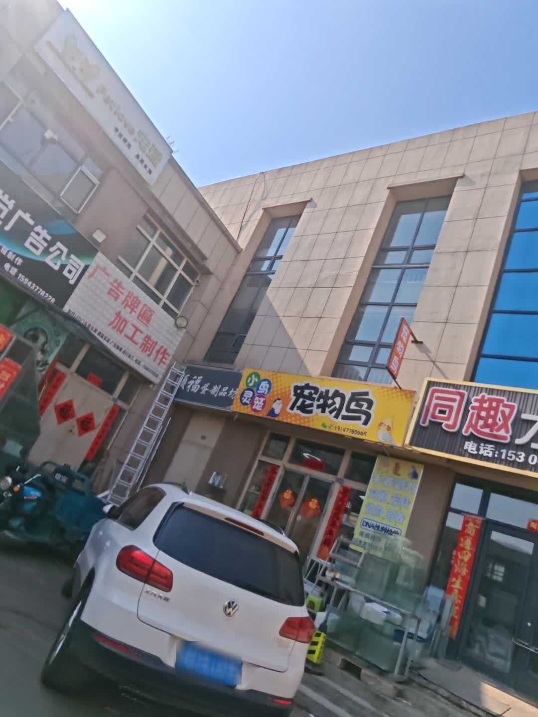 小鸟灵笼宠物鸟