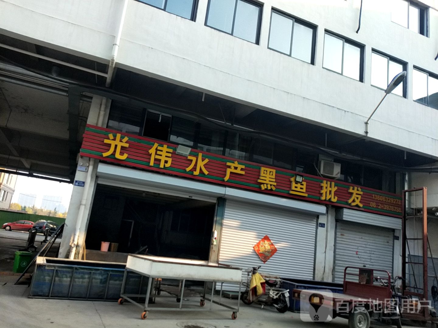光伟水产黑鱼批发