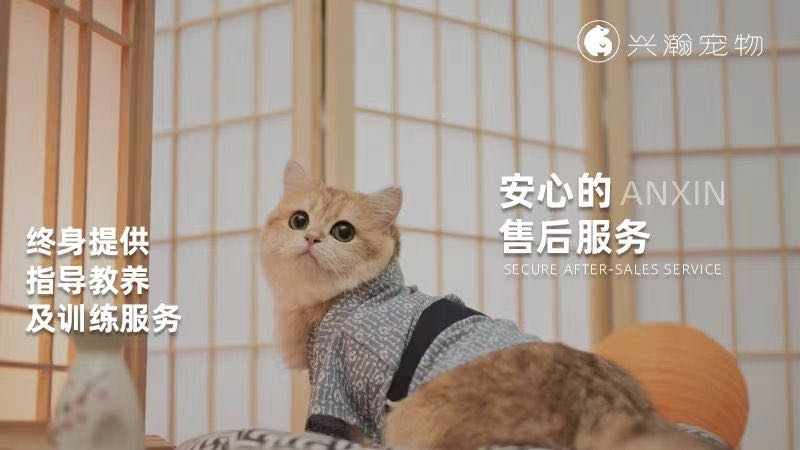 深圳兴瀚宠物狗场犬舍猫舍