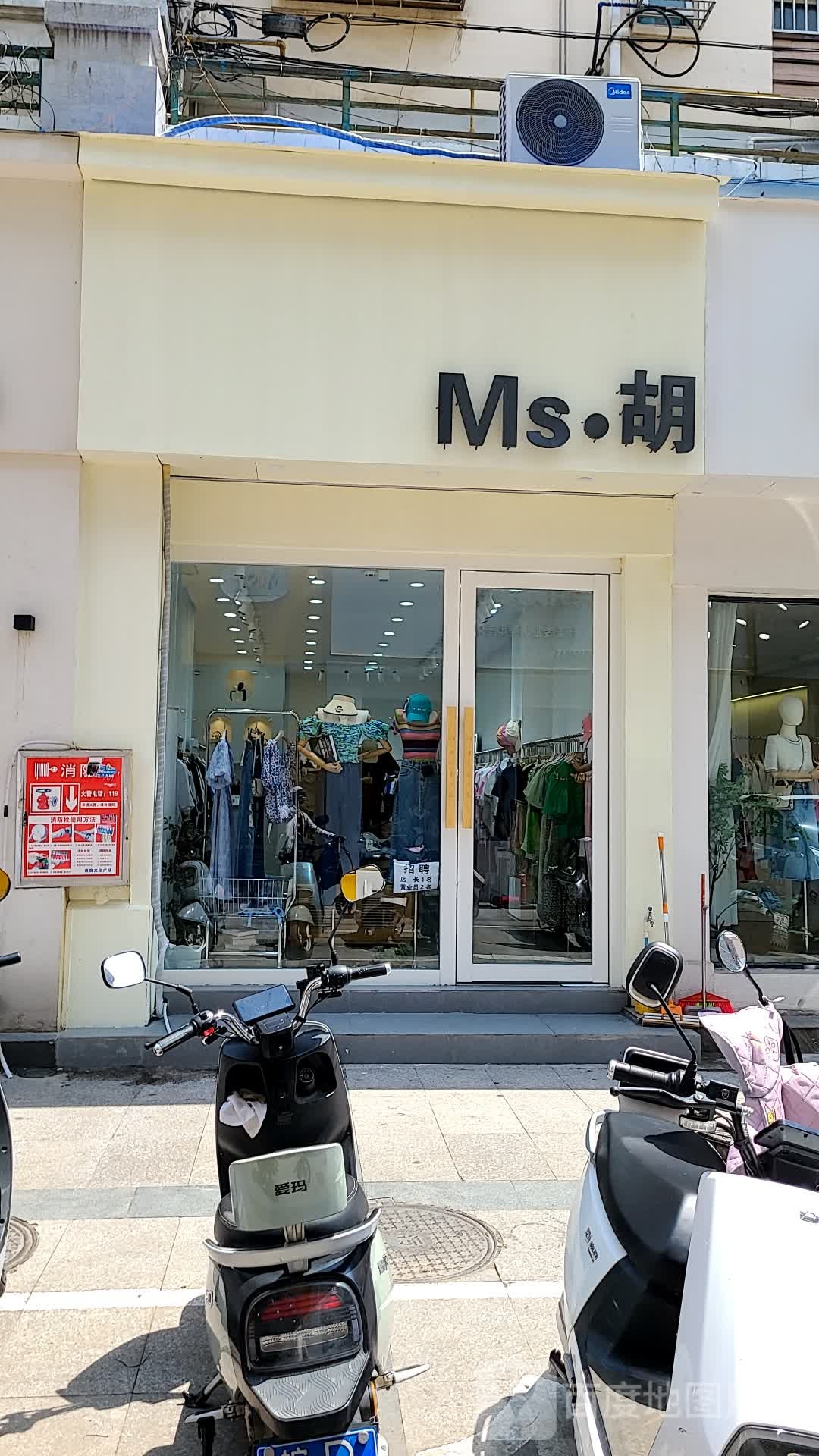 Ms胡