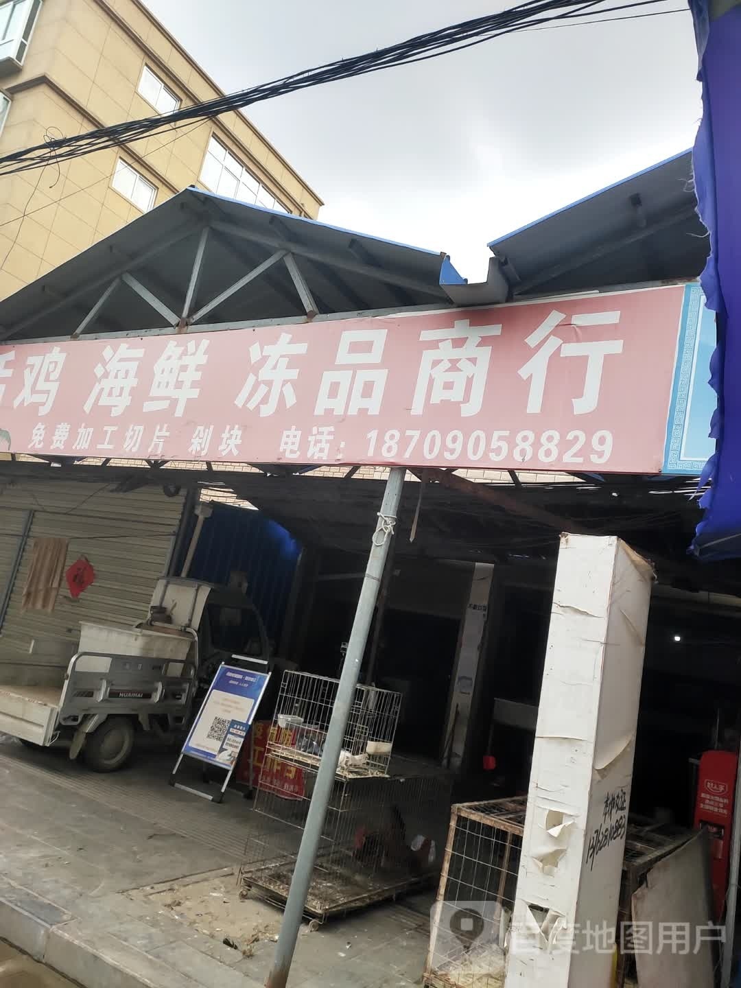 沈丘县槐店回族镇活鱼海鲜冻品商行