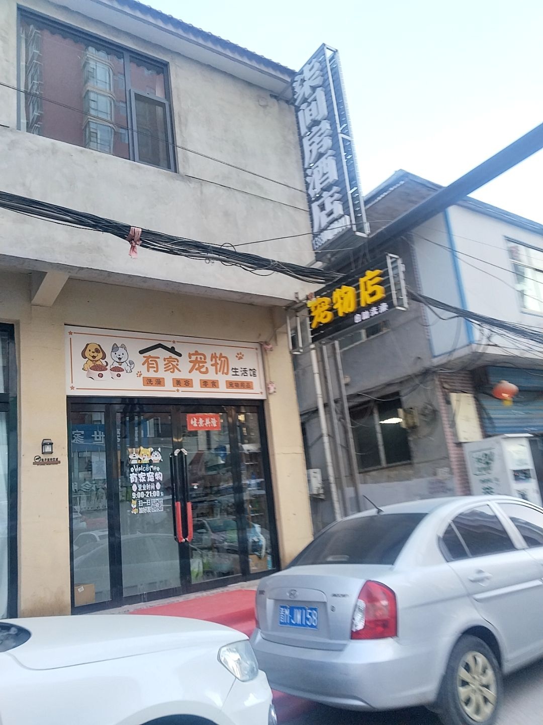 宠物店