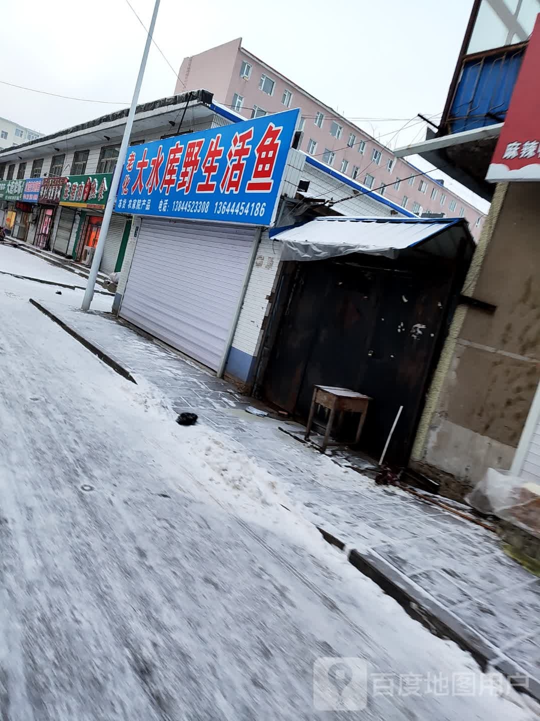 老化大水库野生活鱼