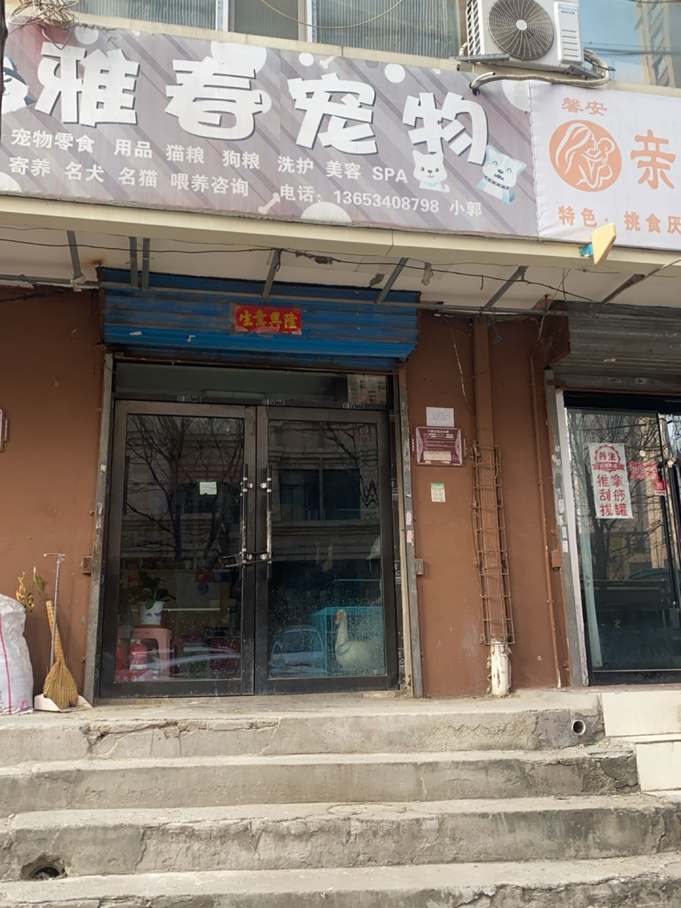 雅春宠物(桥东新生里小区店)