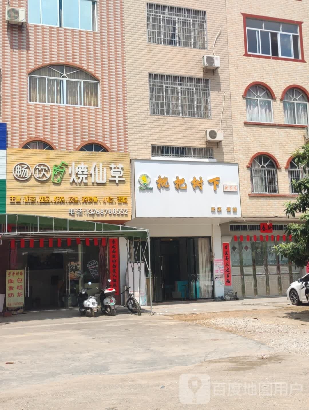 枇杷树下奶茶店