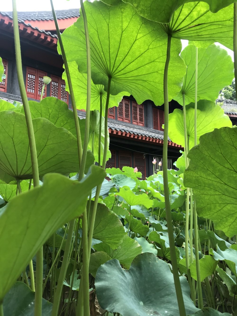 圣水寺