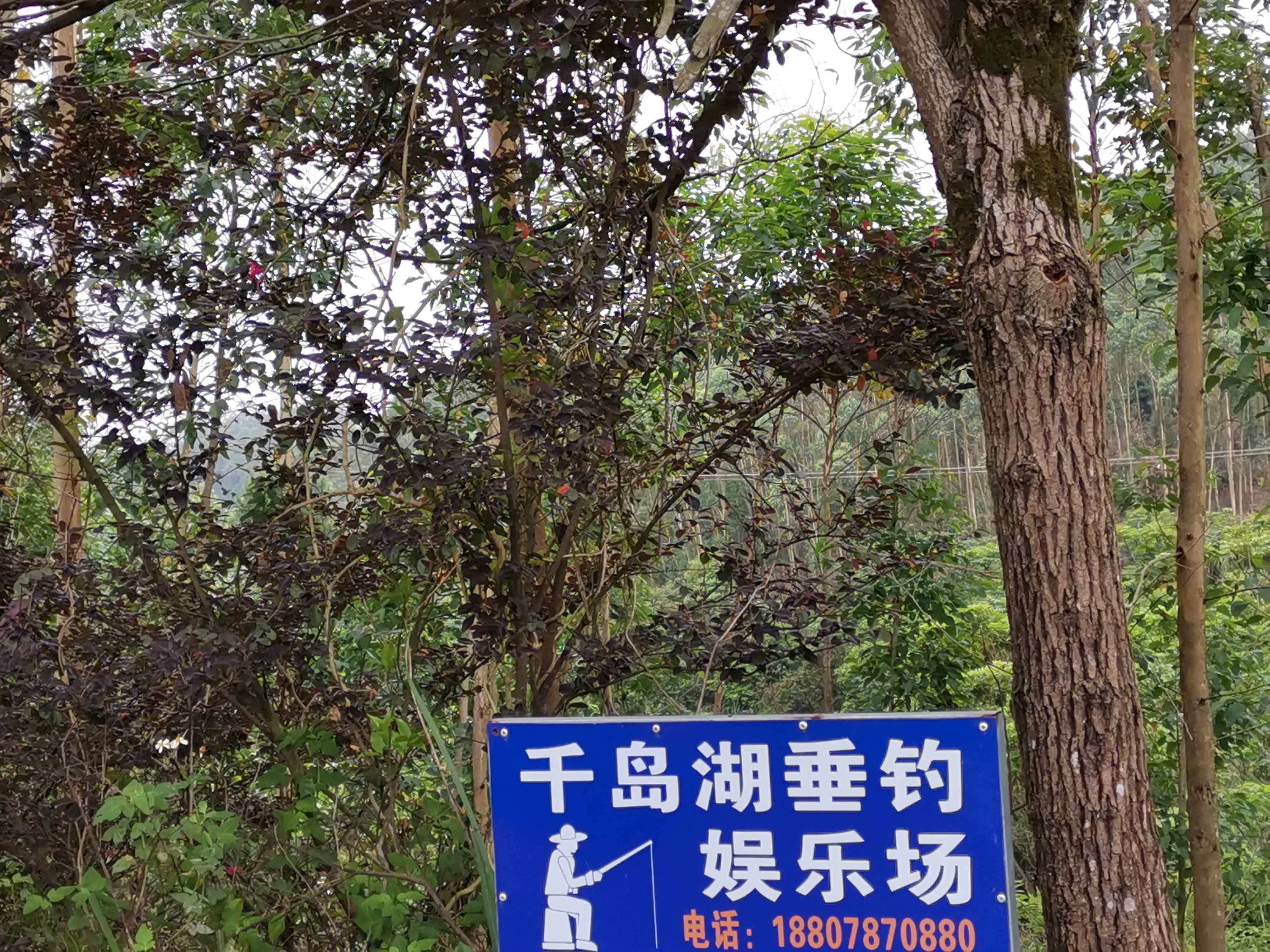 千岛湖垂钓娱乐场