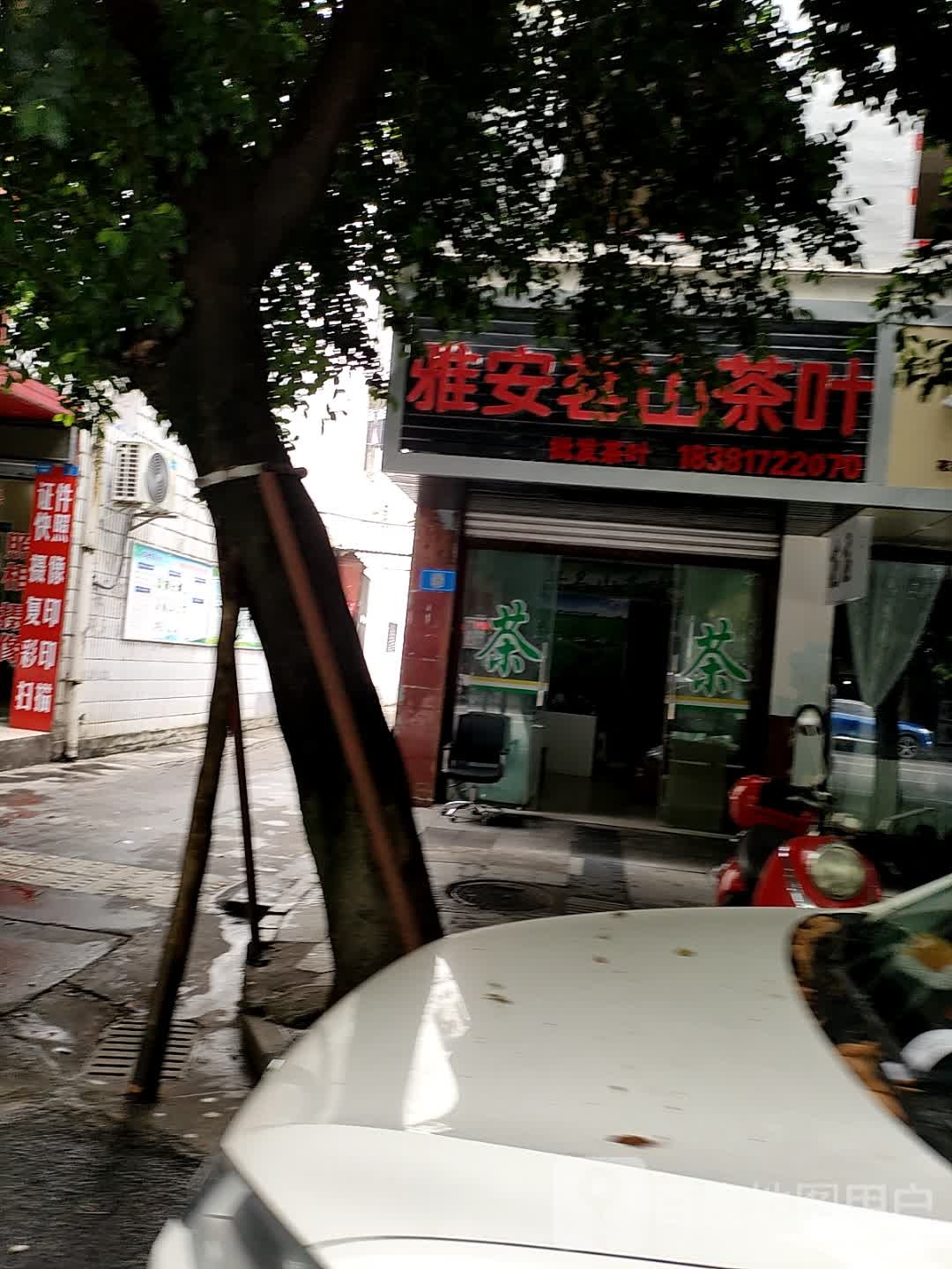 雅安茗山茶叶