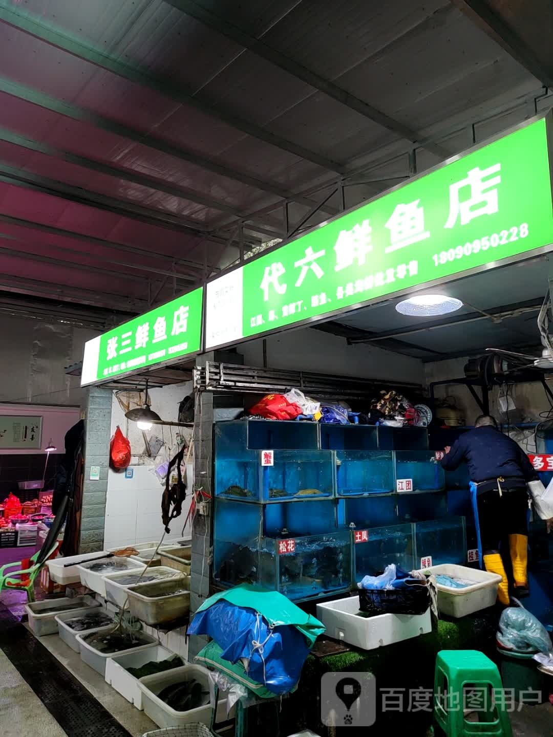 张拼三鱼店