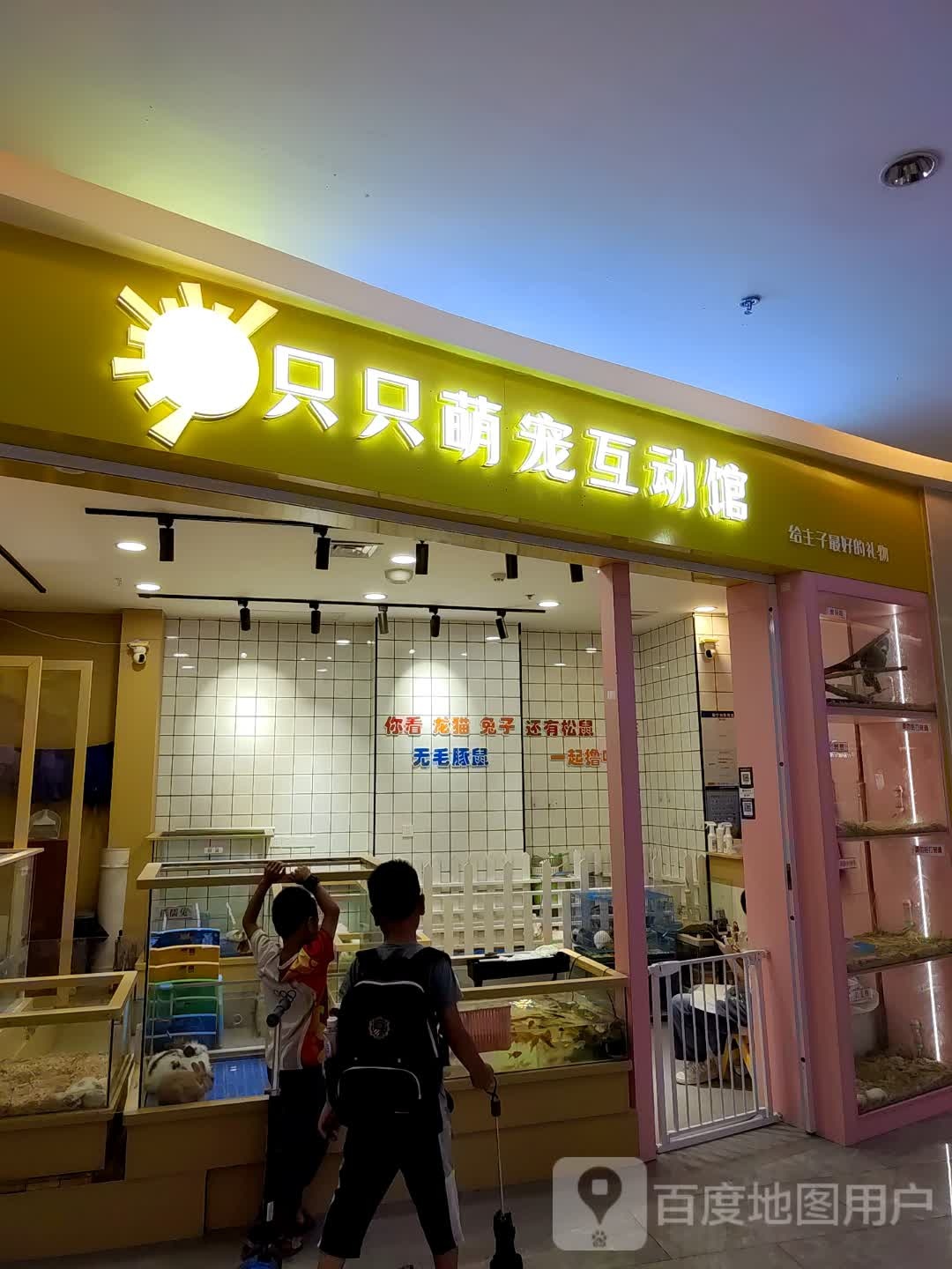 只只萌宠互动馆(长虹路万科里店)