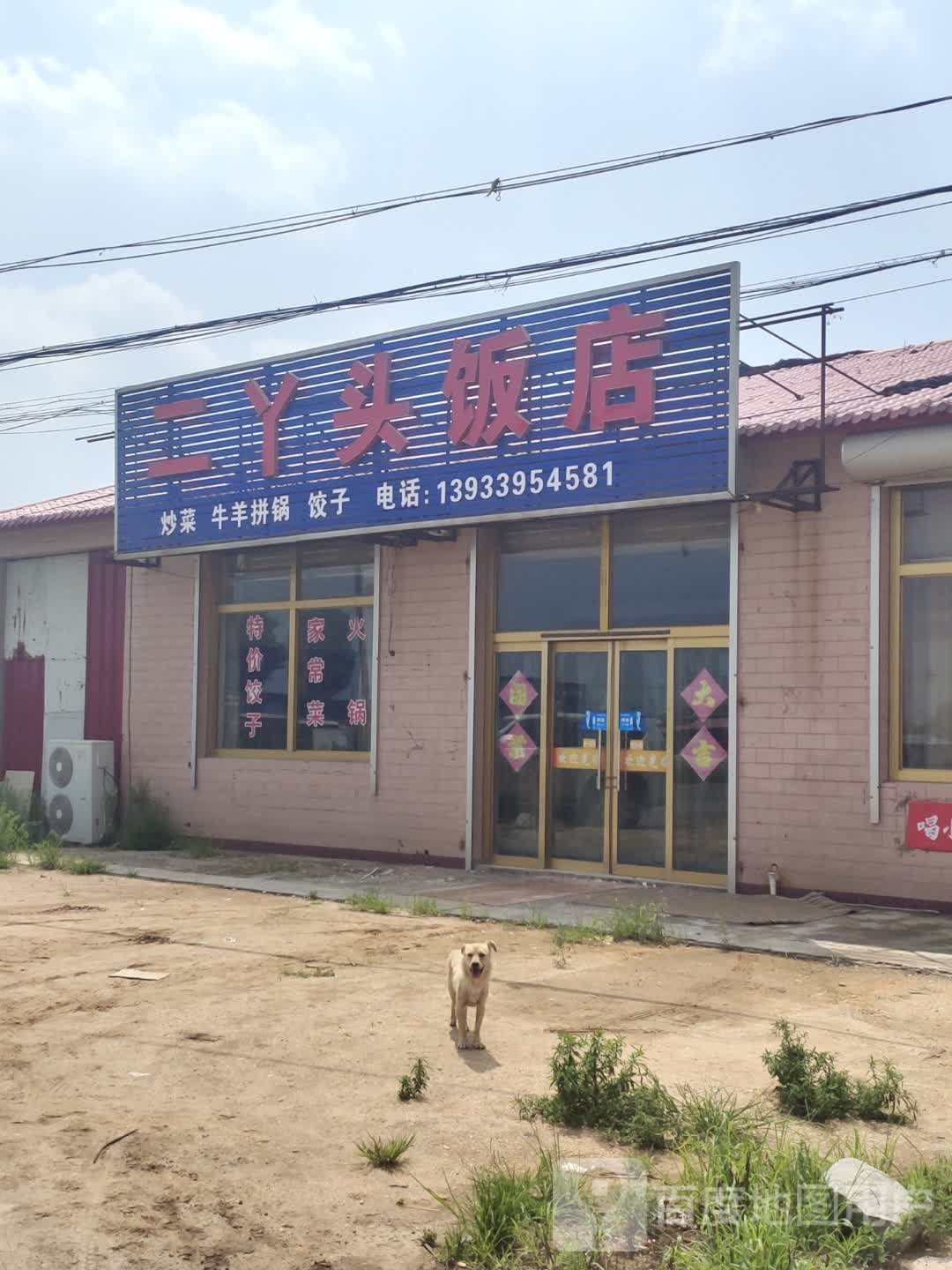 二丫头返点