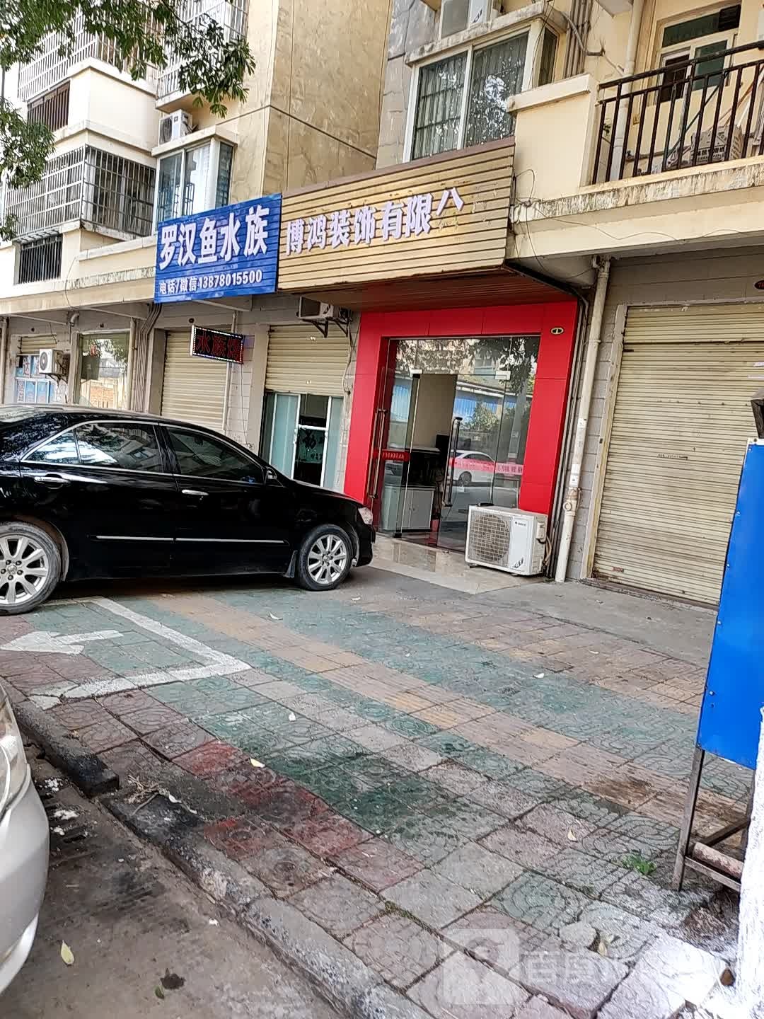 罗汉鱼水族